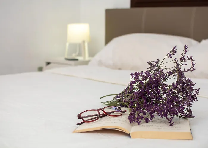 Boreas Paradise طوستا ديل سيلونثيو